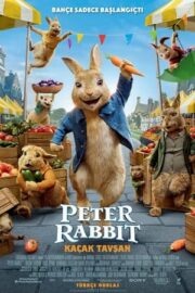 Peter Rabbit Kaçak Tavşan